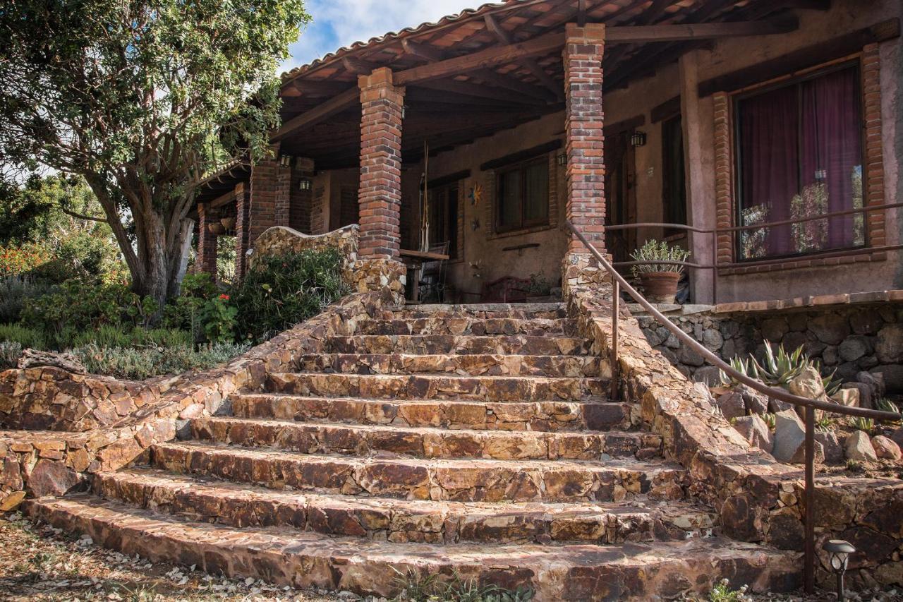 Bed and Breakfast Quinta Maria En La Ruta Del Vino Вальє-де-Гуадалупе Екстер'єр фото