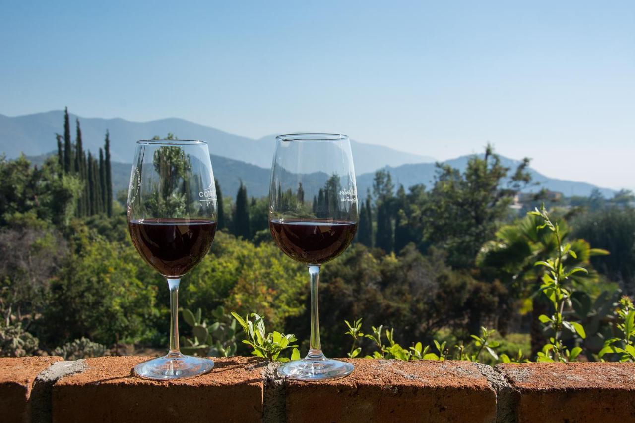 Bed and Breakfast Quinta Maria En La Ruta Del Vino Вальє-де-Гуадалупе Екстер'єр фото
