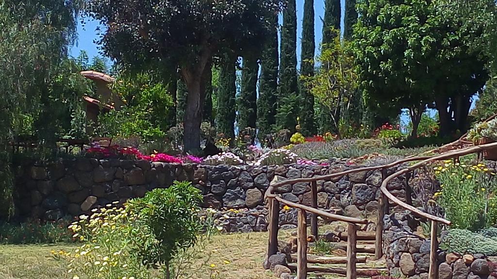 Bed and Breakfast Quinta Maria En La Ruta Del Vino Вальє-де-Гуадалупе Екстер'єр фото