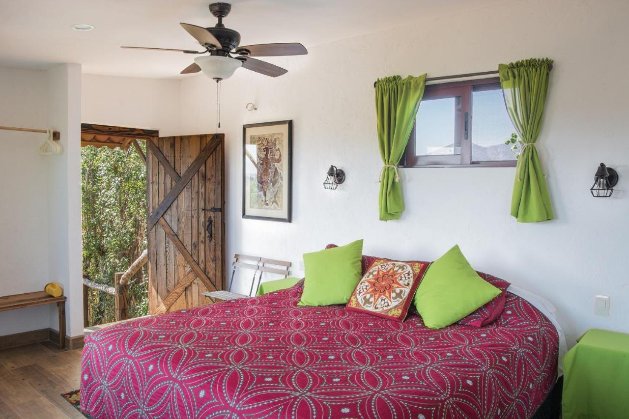 Bed and Breakfast Quinta Maria En La Ruta Del Vino Вальє-де-Гуадалупе Екстер'єр фото